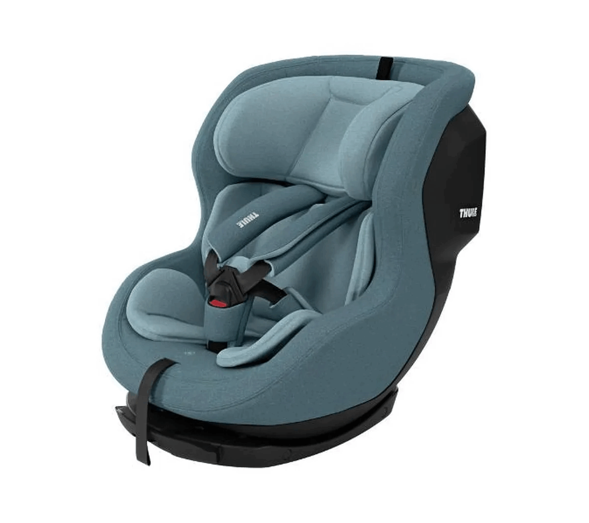 Thule Elm